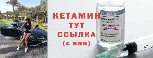 сатива Новозыбков