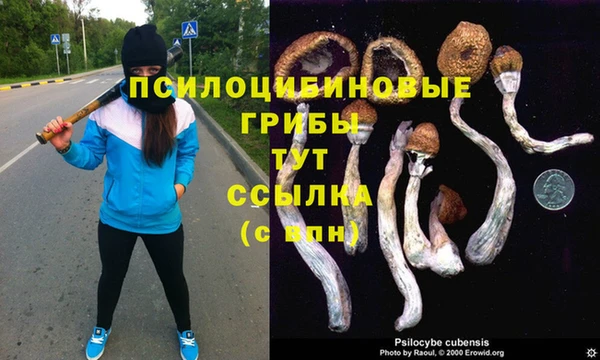 спайс Балабаново