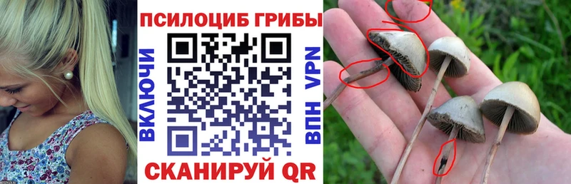 kraken вход  Городище  Галлюциногенные грибы прущие грибы 